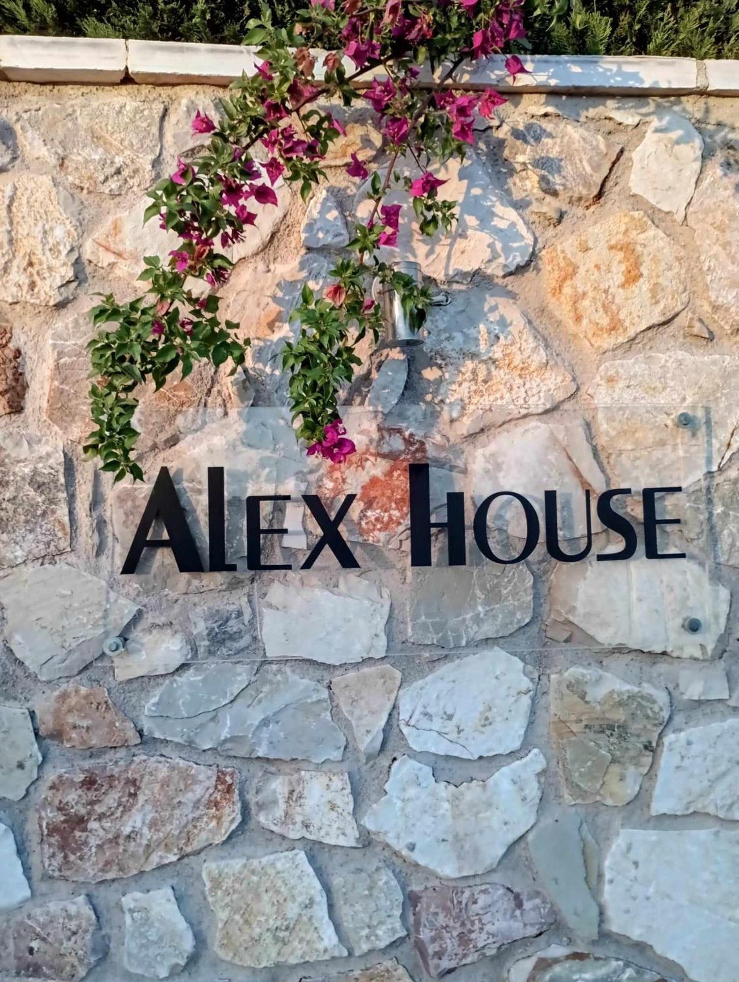 ザハロ Alex Houseアパートホテル エクステリア 写真